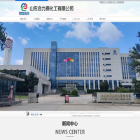 山东合力泰化工有限公司