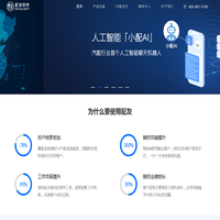 首页-配友软件