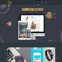 深圳倾蝶科技有限公司