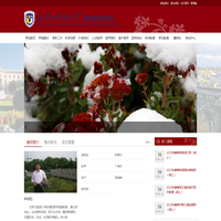 北京外国语大学继续教育学院-英语培训