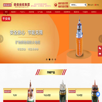 德信线缆集团有限公司