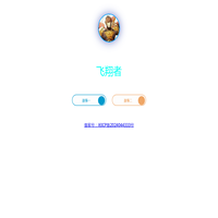 飞翔者题