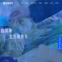 银盛支付